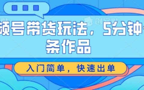 视频号带货新玩法:5分钟轻松制作,快速出单,揭秘入门策略