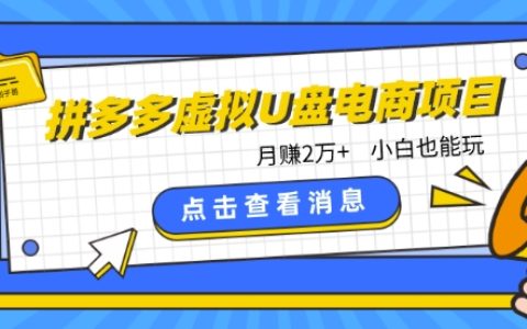 拼多多虚拟U盘电商新机遇:月收入2万+,零基础小白赚钱攻略