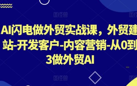 AI赋能外贸实战课程：外贸建站、客户开发、内容营销，从零到三步精通外贸AI应用