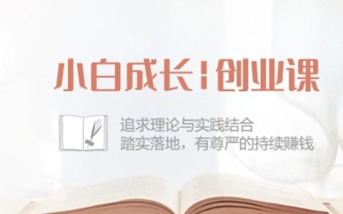 小白成长创业课:理论与实践结合,踏实落地,有尊严的持续赚钱,42节全套课程