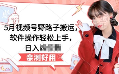 5月视频号实战搬运技巧：简易软件教学，实现日入百位数【详细解读】