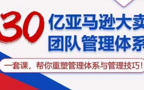 亚马逊亿级卖家团队管理秘籍：全方位教程，助你重建管理架构与技巧