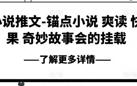 小说推广-锚点小说,畅快阅读,快感淋漓,奇妙故事会一键挂载