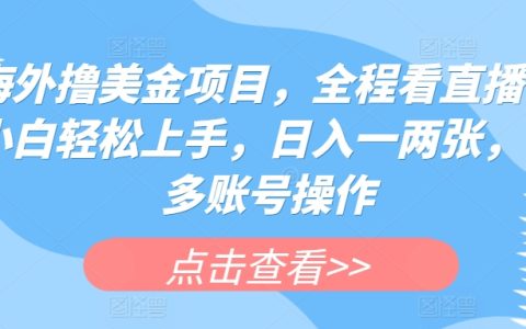 海外美元收益项目揭秘:直播教学带你入门,小白日入一两张,多账号操作技巧【详细曝光】