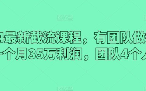 2024年全新截流培训课程：团队合作月赚35万，四人团队成功案例解析