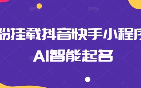 零粉丝抖音快手挂载小程序,AI智能命名教程