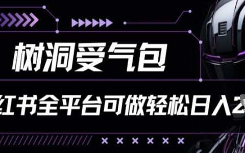 全平台小红书树洞受气包项目解析:轻松实现日入千元【揭秘】
