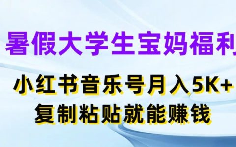揭秘暑假大学生与宝妈福利：小红书音乐号月入5000+，轻松复制粘贴赚钱