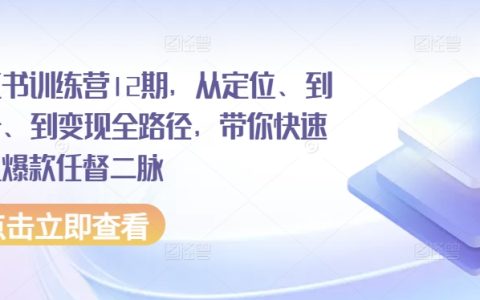 小红书第12期训练营：全方位教学，从精准定位、账号起步到盈利模式，助你打造爆款内容