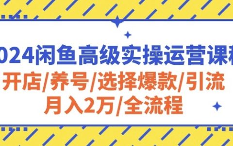 2024年闲鱼高级实操运营课程：从开店到月入2万，全面掌握养号、爆款选择、引流等技巧