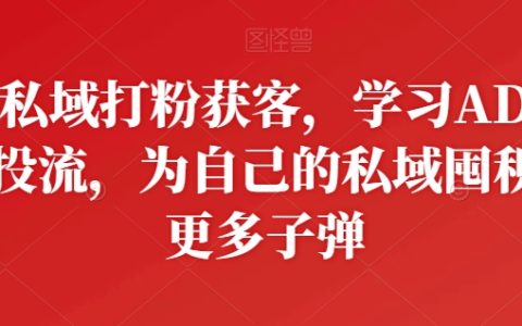 私域流量打粉获客实战课程:广告投放学习,增加私域囤积弹药策略