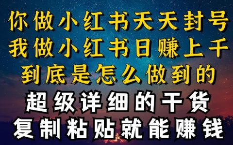 揭秘小红书引流秘籍！为什么我能日引流几十人变现上千，你却违规频频被封号？一招教你逆袭！