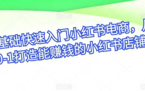 小红书电商入门教程，零基础快速打造盈利店铺，从新手到专家的跃迁之路