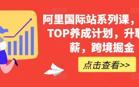阿里巴巴国际站课程系列，顶尖运营养成方案，助你职场晋升加薪，跨境贸易挖金