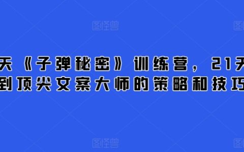 21天精通顶尖文案大师策略与技巧：从零到顶尖，从入门到精通的训练营