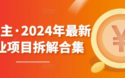 2024年黄岛主最新副业项目解析大全【无水印版本】