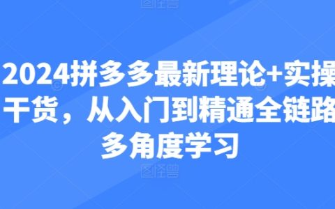 2024 拼多多全新理论与实操干货，从入门至精通的全链路多角度探秘！