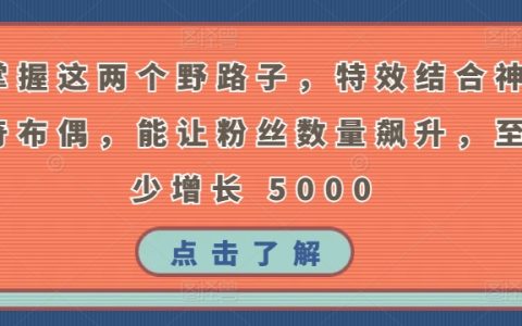掌握特效与神奇布偶的结合技巧，粉丝数量至少增长5000！这些野路子让你脱颖而出！
