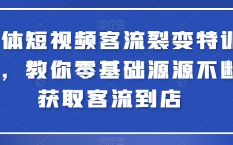 短视频裂变引流实战营:零基础入门,轻松获取源源不断客流,引爆门店人气