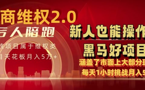 电商维权4.0版本月入5万+秘籍,每日仅需1小时,新手快速入门指南【独家曝光】