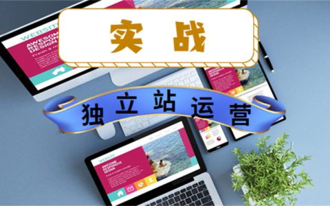 揭秘独立站运营项目：日IP量1600+，年赚百万，五个关键点让你轻松上手！