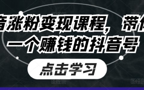 抖音粉丝增长与盈利攻略：学会变现，打造高收入抖音账号教程