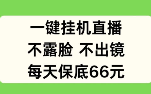 一键挂机直播秘籍：无需露脸出境，日赚保底 66 元