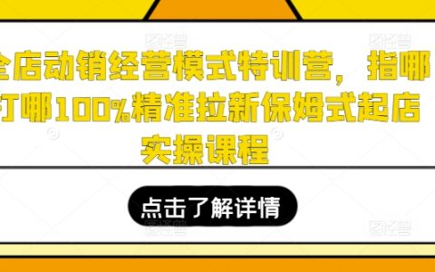 全店动销爆品策略特训：精准拉新起店实操手册，保姆级指导打造热销爆款