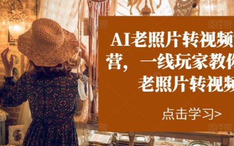 AI老照片转视频特训营:一线高手带你玩转老照片变身视频