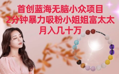 揭秘首创蓝海小众项目！2 分钟疯狂吸粉小姐姐富太太，轻松月入几十万