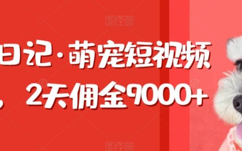 东哲日志:两天内萌宠短视频狂揽9000佣金,揭秘带货高佣金秘籍