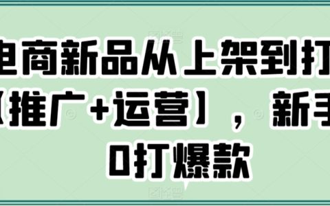 电商新品爆款打造全攻略：推广与运营技巧，新手轻松实现从零到爆款