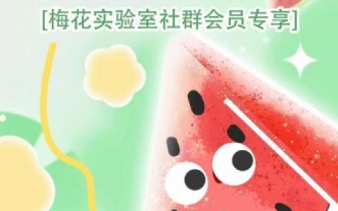 2024年梅花实验室AB技术视频号AB合成破解版教程【独家揭秘】