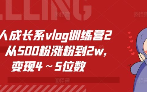 个人成长Vlog实战营第2期：500粉丝到2万粉丝攻略，实现月入数千元变现秘籍