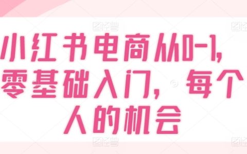 从零开始掌握小红书电商运营，零门槛入门教程，全民创业新机遇