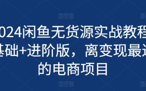 2024年闲鱼无货源操作手册：从入门到精通，轻松实现电商盈利新路径
