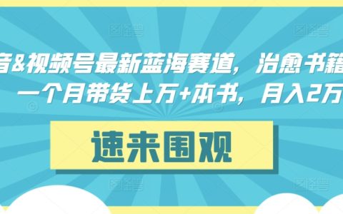 抖音与视频号的新兴蓝海领域:治愈书籍高效带货,单月狂销万本,月进账 2 万+大揭秘