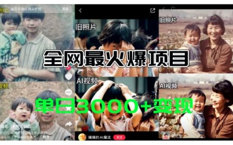 揭秘AI黑科技,一秒将老照片变动画,轻松实现日赚3k+,超全免费工具包助你快速上手