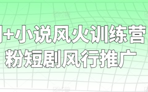 零粉丝起步，短剧小说风华训练营——快速走红推广策略全解