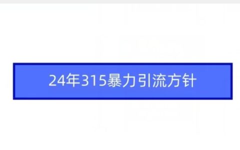 2024年315网络营销策略：精准引流技巧与合规指南，打造高效营销闭环【深度解析】