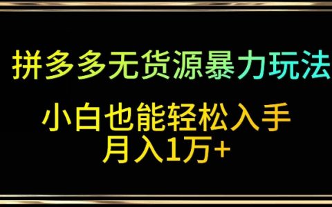 拼多多无货源运营攻略：暴力玩法揭秘，纯干货教学，小白轻松月赚过万【实操指南】