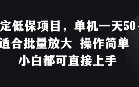 稳定低保项目揭秘:单机日赚50+,操作简单,适合小白批量放大!