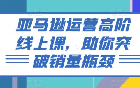 电商高手必备：亚马逊高级运营策略课程，助你销量翻倍突破困境