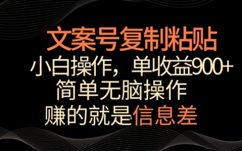复制粘贴文案盈利术：新手小白轻松上手，单个作品赚取900+