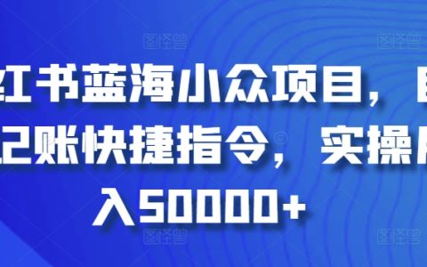 小红书高盈利蓝海项目：自动化记账指令，轻松月入50000+实操经验【揭秘】