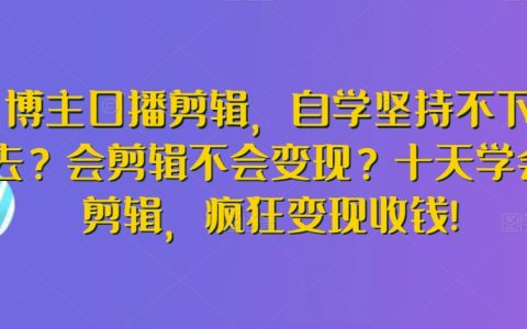 口播剪辑达人速成：告别自学困扰，十天精通剪辑技巧，实现快速变现盈利【实战教程】