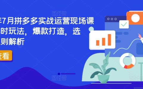 2024 年7月拼多多实战运营特训：最新玩法、爆款塑造、精准选品与规则详解