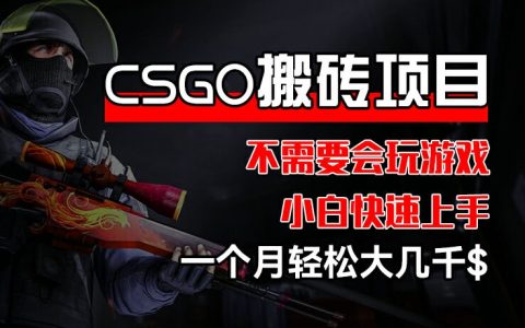 CSGO装备搬砖项目揭秘：小白也能快速上手，一个月轻松赚取大几千