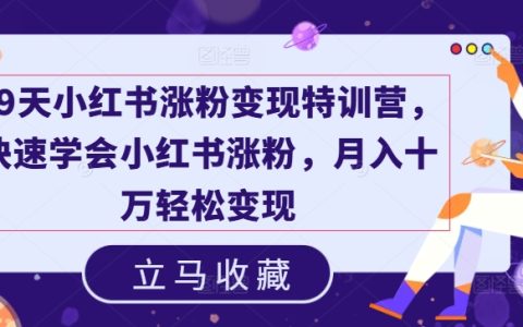 19天小红书粉丝增长与变现特训班，高效学习涨粉技巧，月入十万不是梦