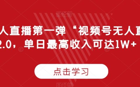 深入剖析”：视频号2.0无人直播技术，日赚万元攻略大公开【实战揭秘】